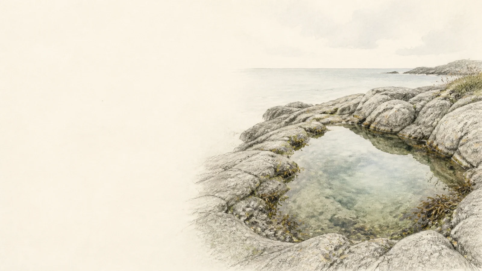 An irregular rock pool reflecting the sky among natural coastal stones.